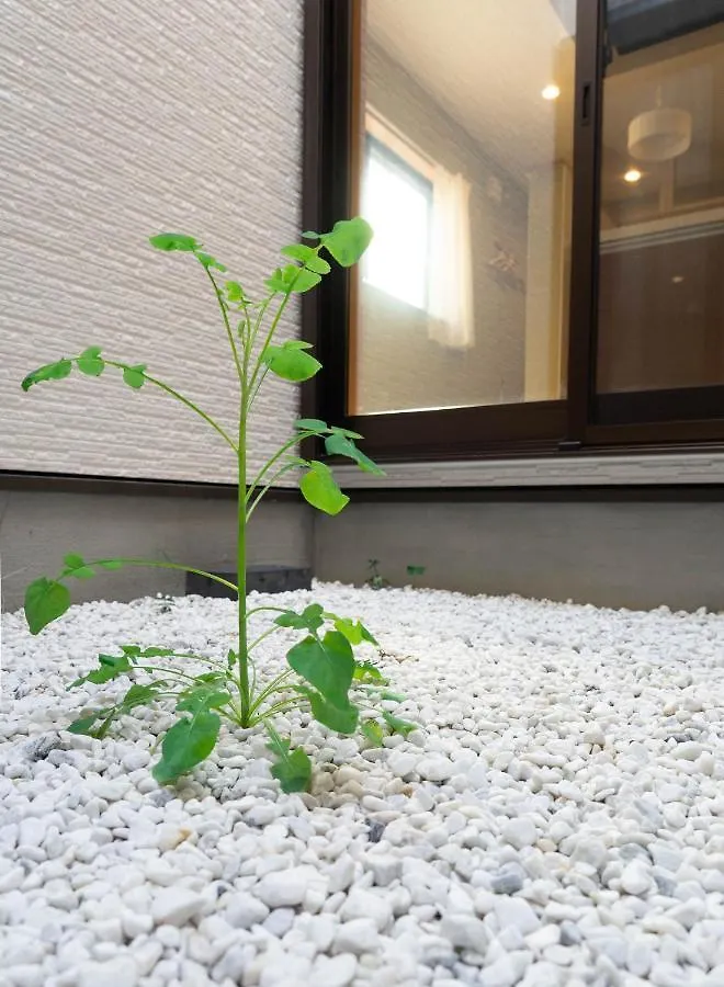 Hanastay花渓居 - 尺八（Syakuhachi) Osaka 0*,  Japan